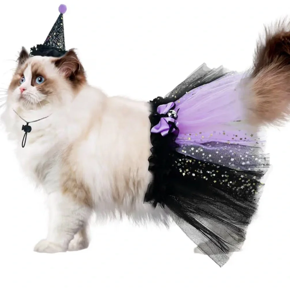 Witch Costume for Cat Kitten, size Medium ,Witch's Hat & Black Tutu Skirt